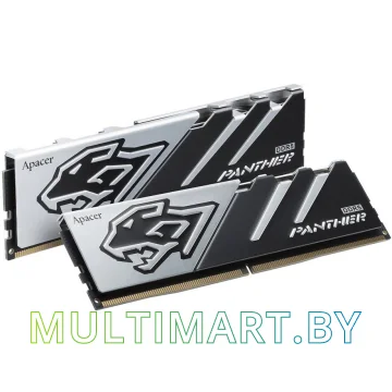 Оперативная память Apacer Panther 2x16GB DDR5 PC5-48000 (AH5U32G60C6227BAA-2)